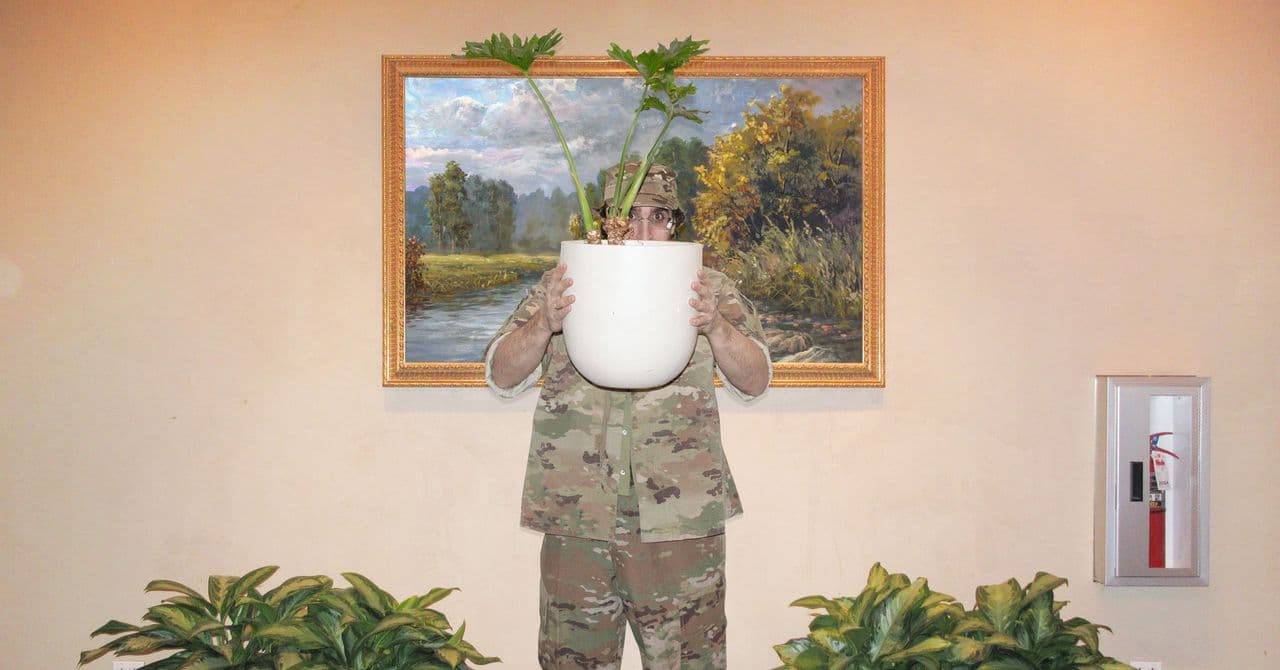 How American Camouflage Conquered the World